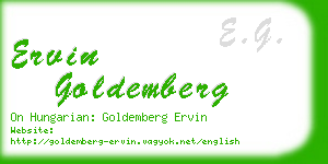 ervin goldemberg business card